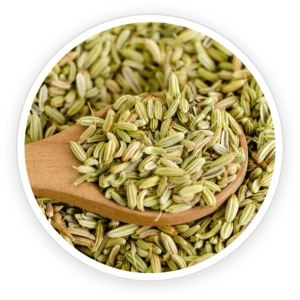 Fennel Seed Powder